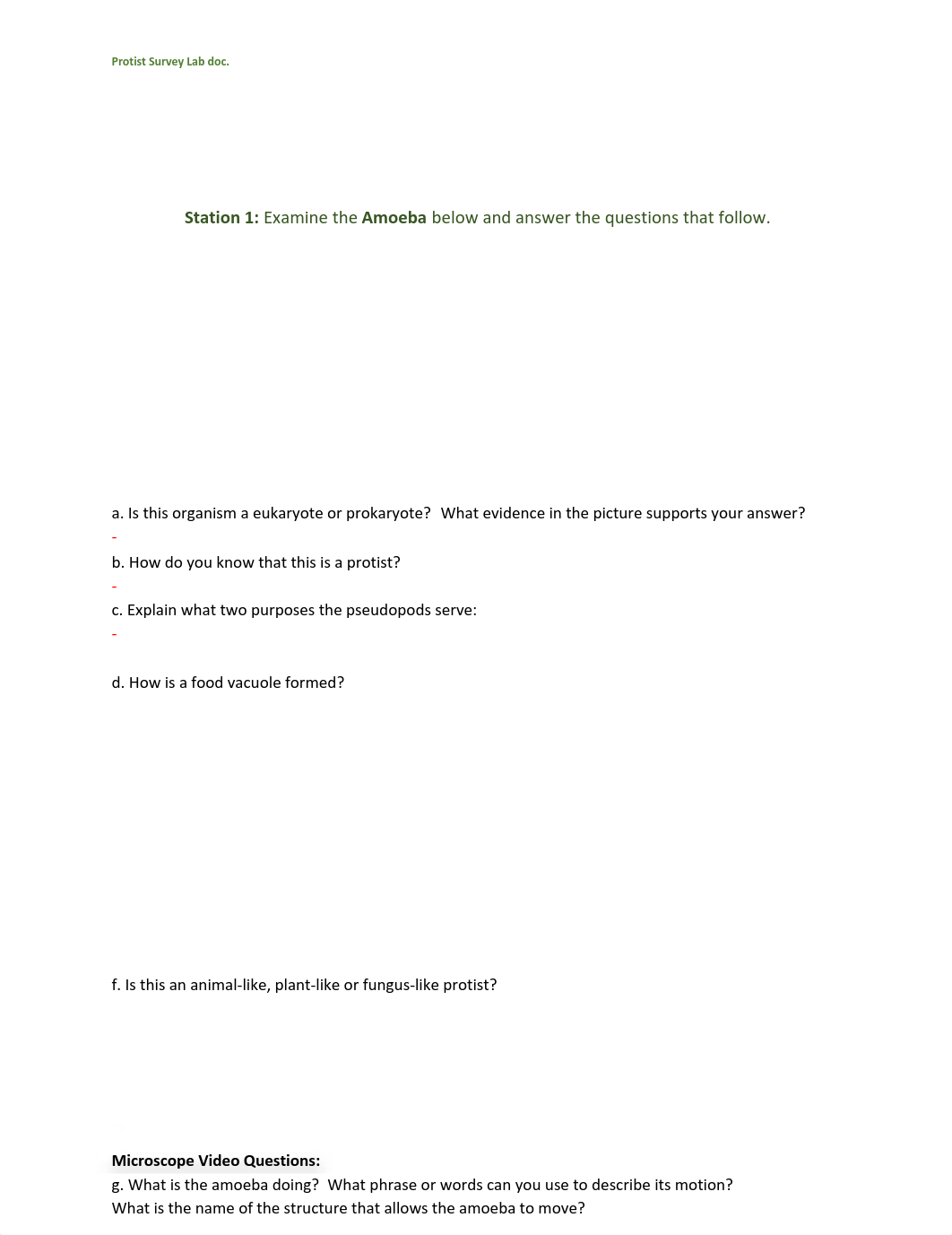 Diversity of Protista Lab Questions.pdf_dsmb6jthxwz_page1