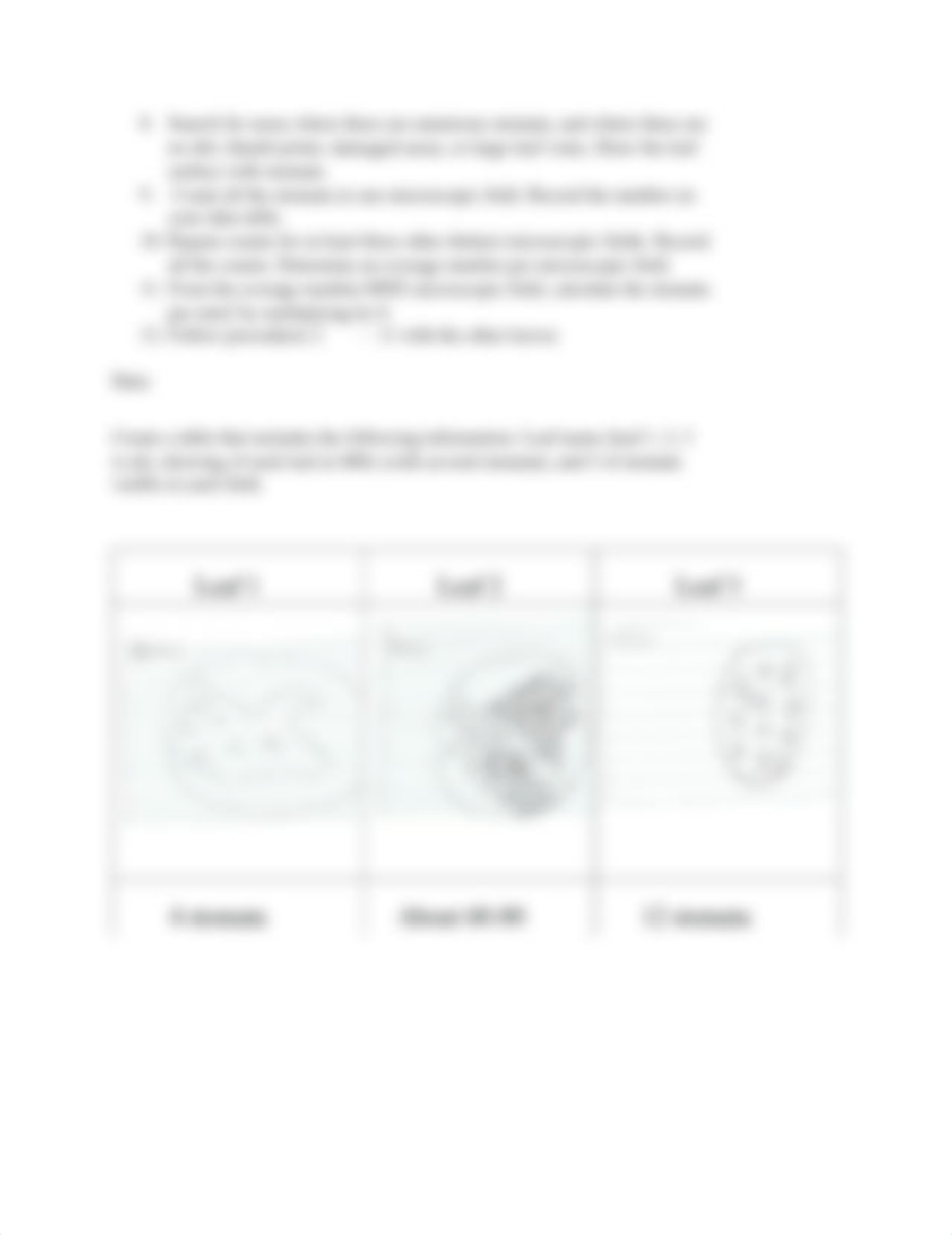 Leaf Stomata Lab (2).pdf_dsme73a5su1_page2