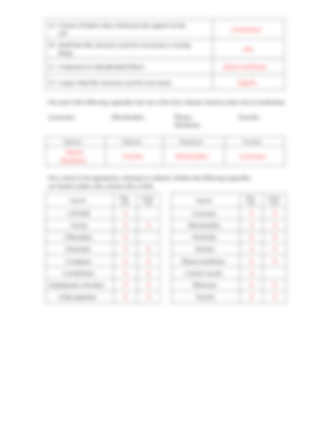 1-Cell Organelles WS 2016 KEY.pdf_dsmf9cbm6ug_page2