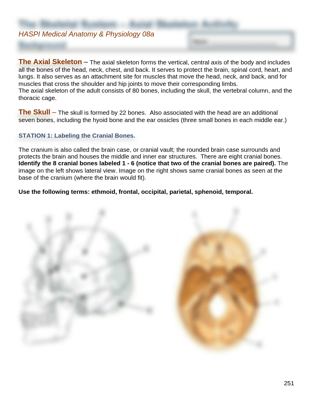 Axial Skeleton Lab.pdf_dsmg14vuulo_page1