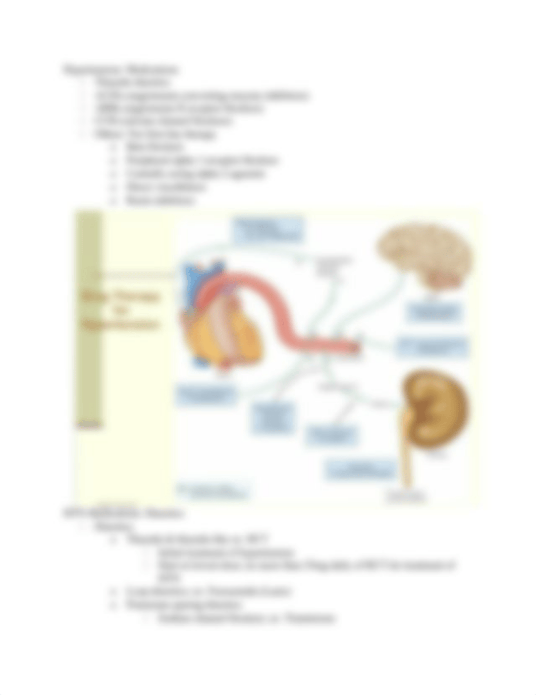 Cardiovascular.docx_dsmm4kd6vgv_page4