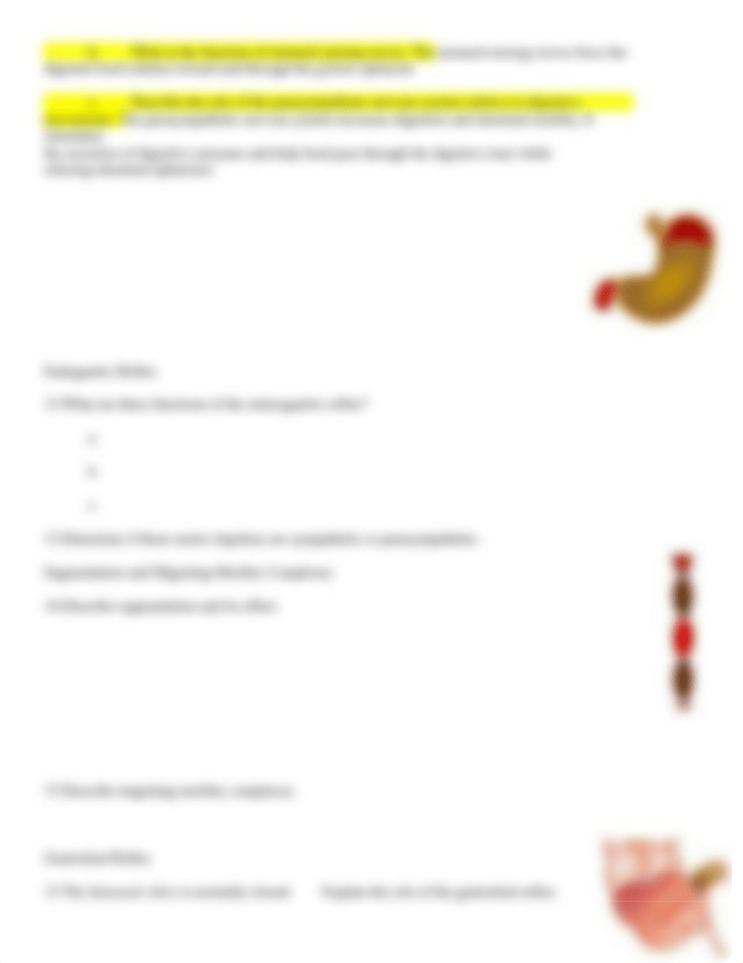 DONE--Chapter 24--Mechanical Digestion in the Gastrointestinal Tract_dsms1wpno0f_page4