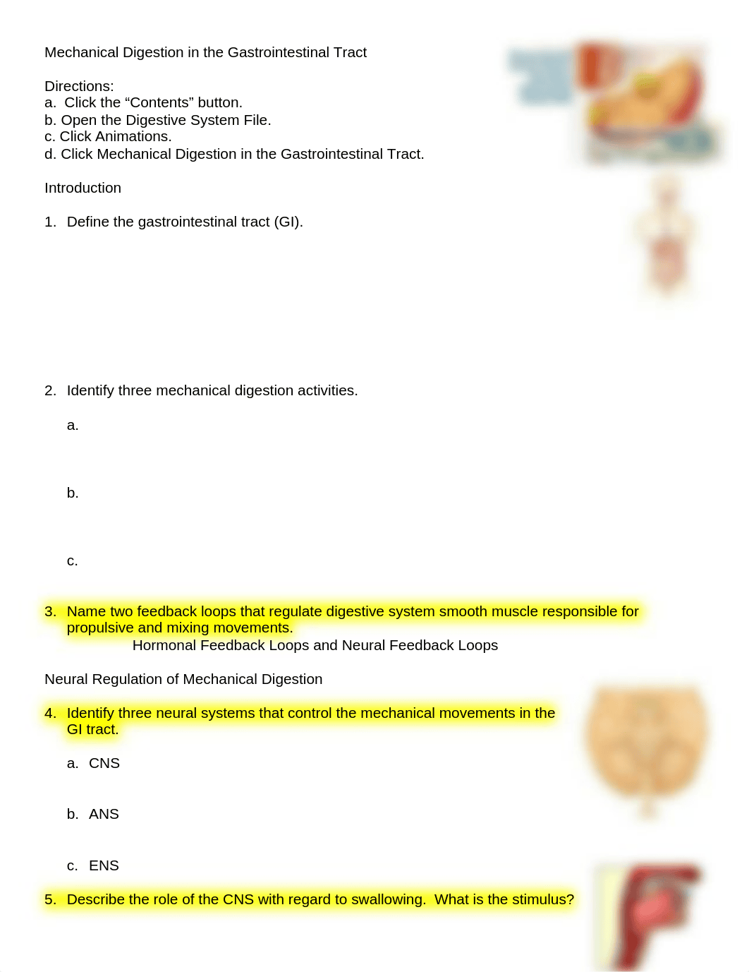 DONE--Chapter 24--Mechanical Digestion in the Gastrointestinal Tract_dsms1wpno0f_page1