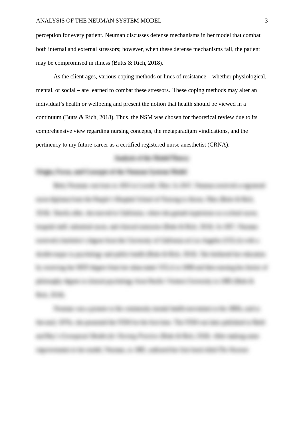 Analysis of The Neuman System Model.docx_dsn21lhmkp0_page3