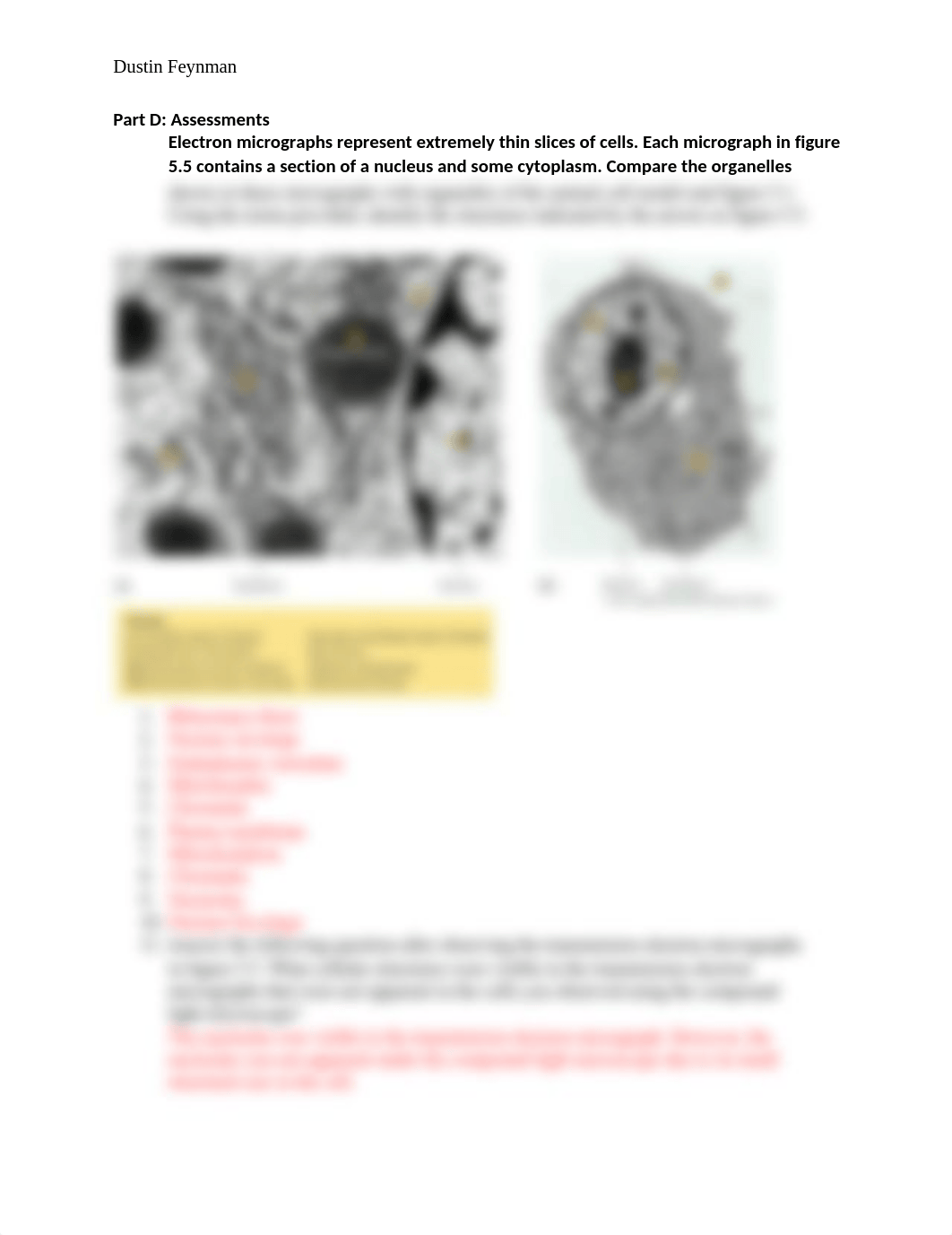 Lab Assessment 5 - Parts A, D.docx_dsn6k1hfa1b_page3