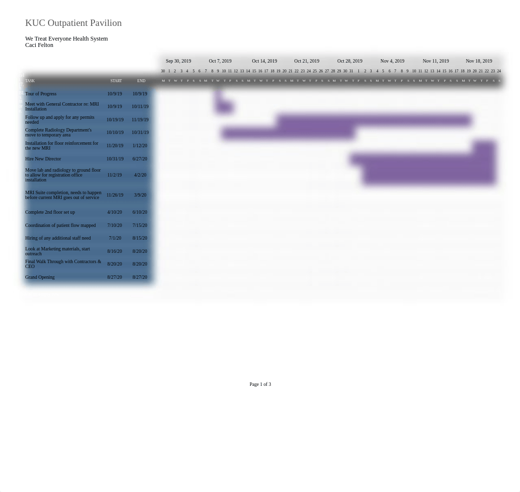 Felton GANTT Chart.xlsx_dsn9jftjmci_page1