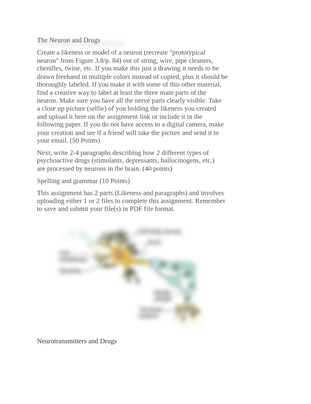 The Neuron and Drugs Assignment.docx_dsnbr4fp0wi_page1