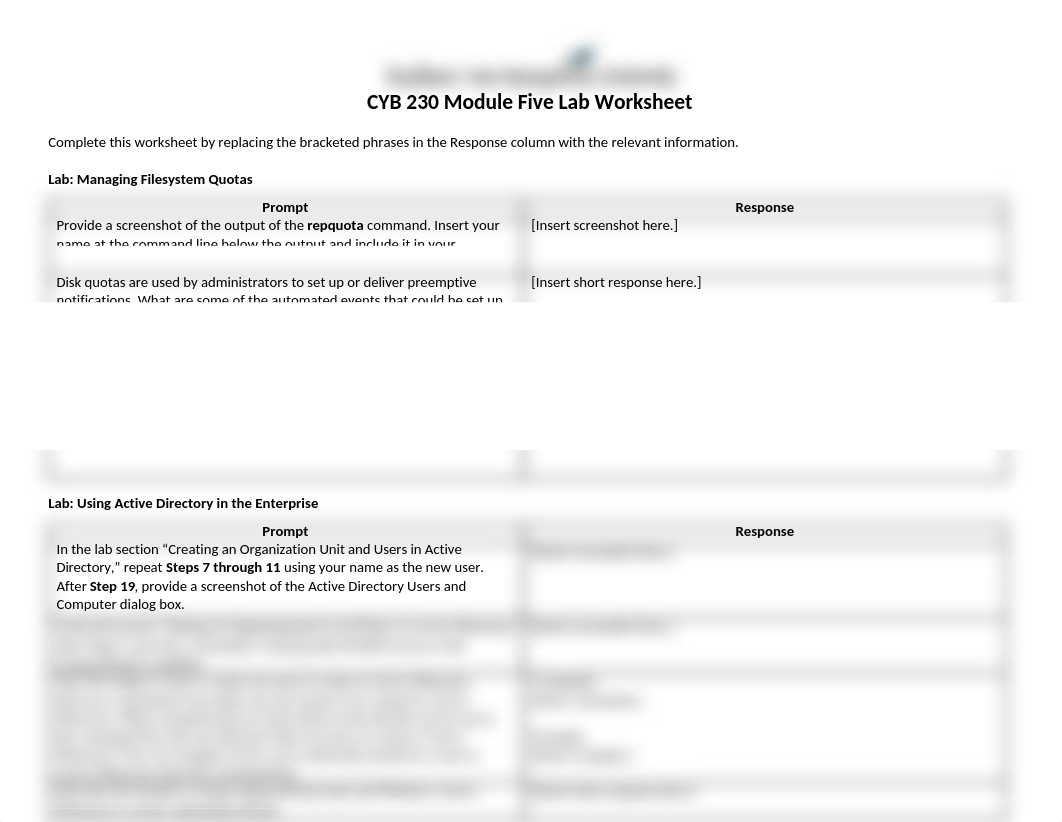 CYB 230 Module Five Lab Worksheet (1).docx_dsncx3m3baf_page1