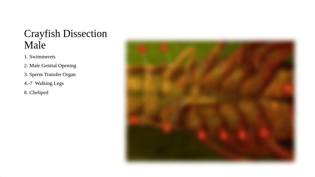 Module 5 Lab Images.pdf_dsngu22redz_page4