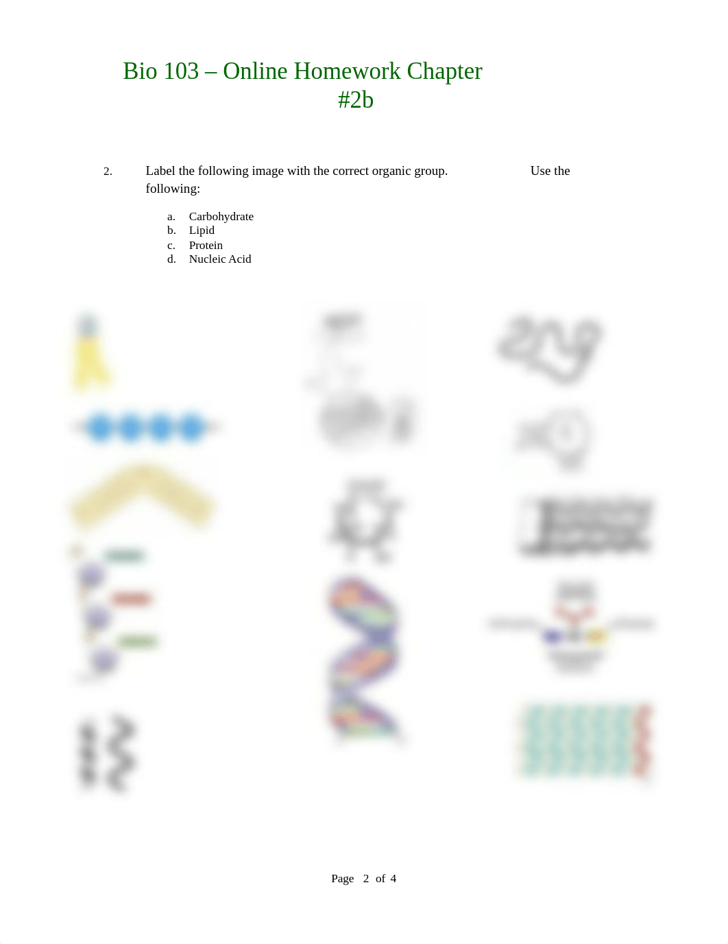 Bio 103 Online Homework 2b (1)_dsnqx4gc4p6_page2