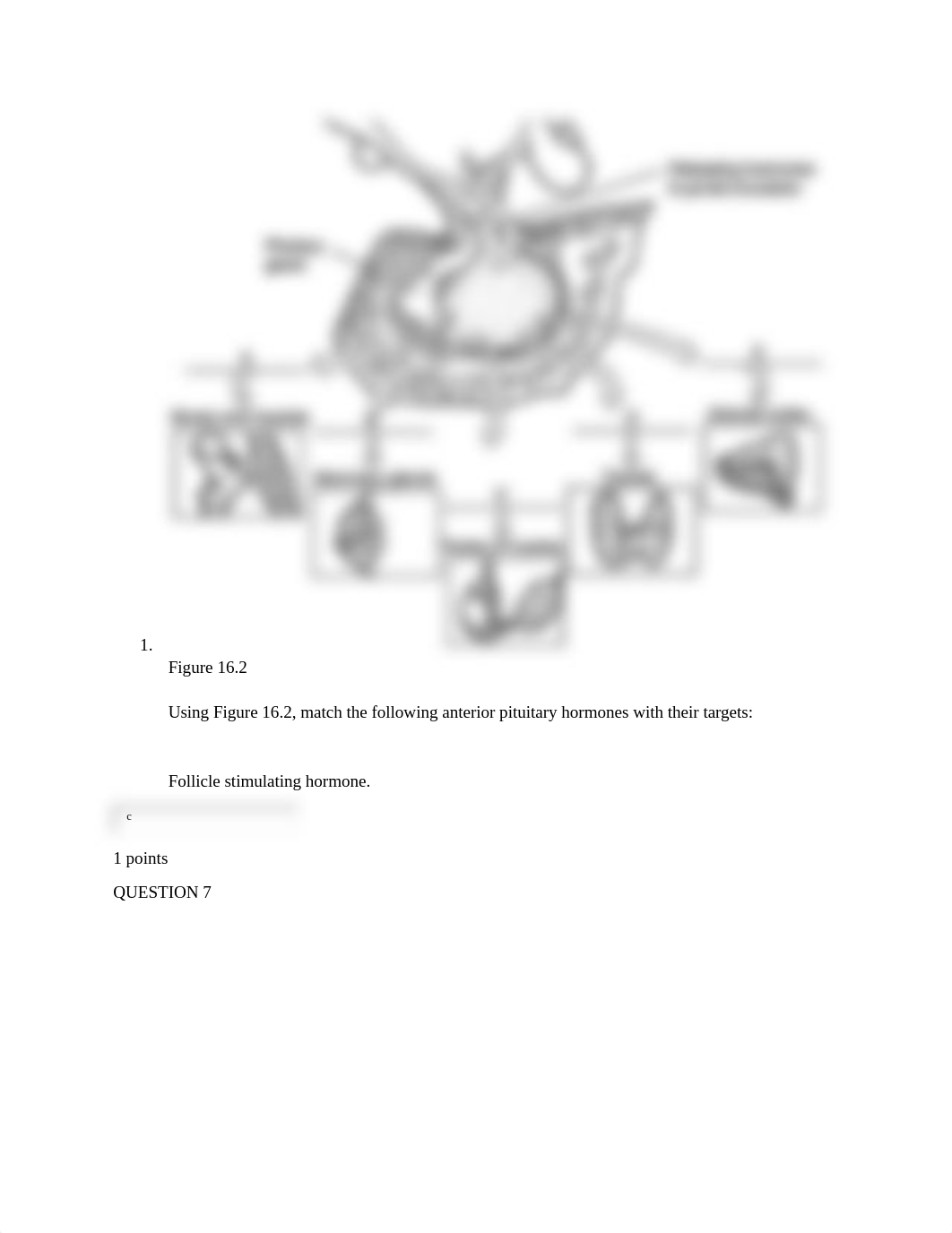 bio 153 hw #1.docx_dsnt3e7t2rr_page4