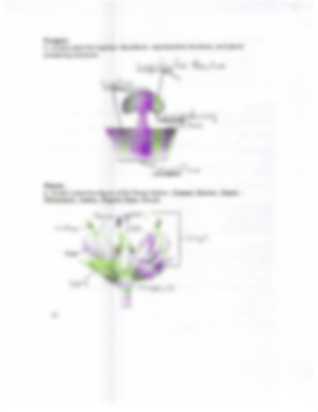 Environmental Biology Test - With Answers_dsnvy9rvgzj_page4