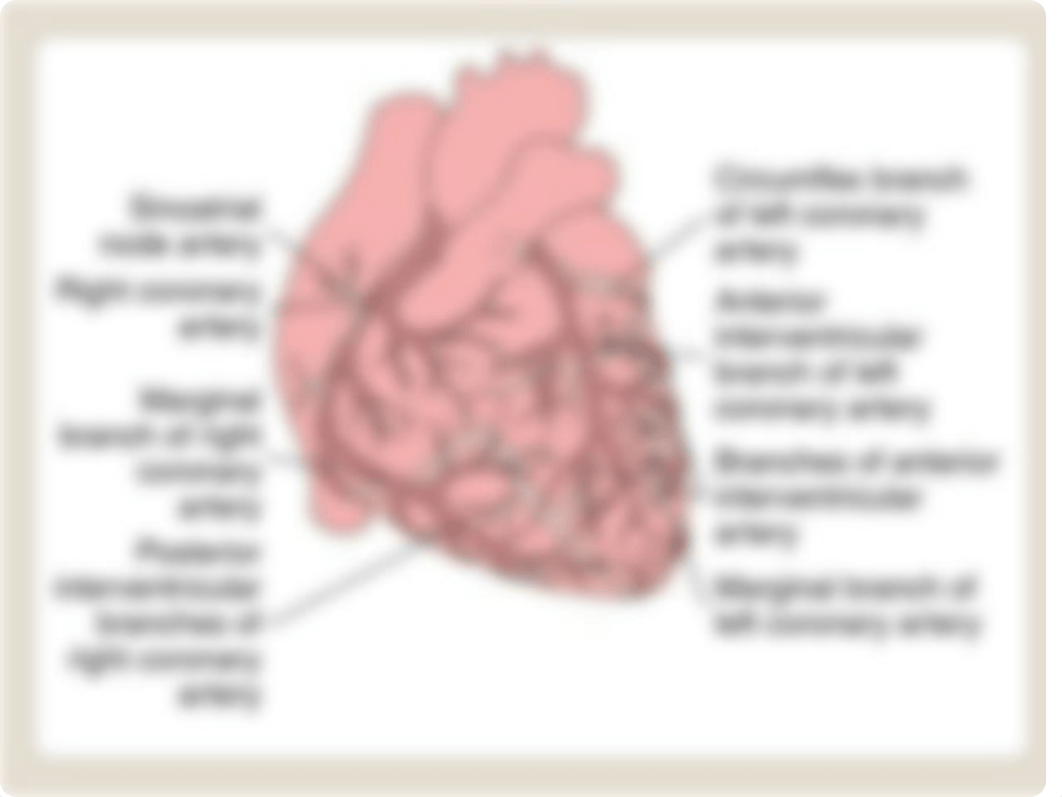 LPN 132 Chapter 20 Student.pptx_dsnxn3ir0rr_page4