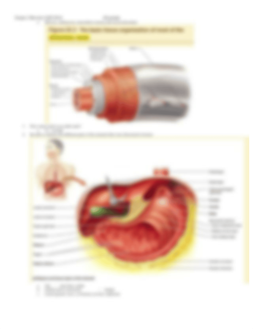 Exam_2_Review.docx_dso8lc6qipn_page3