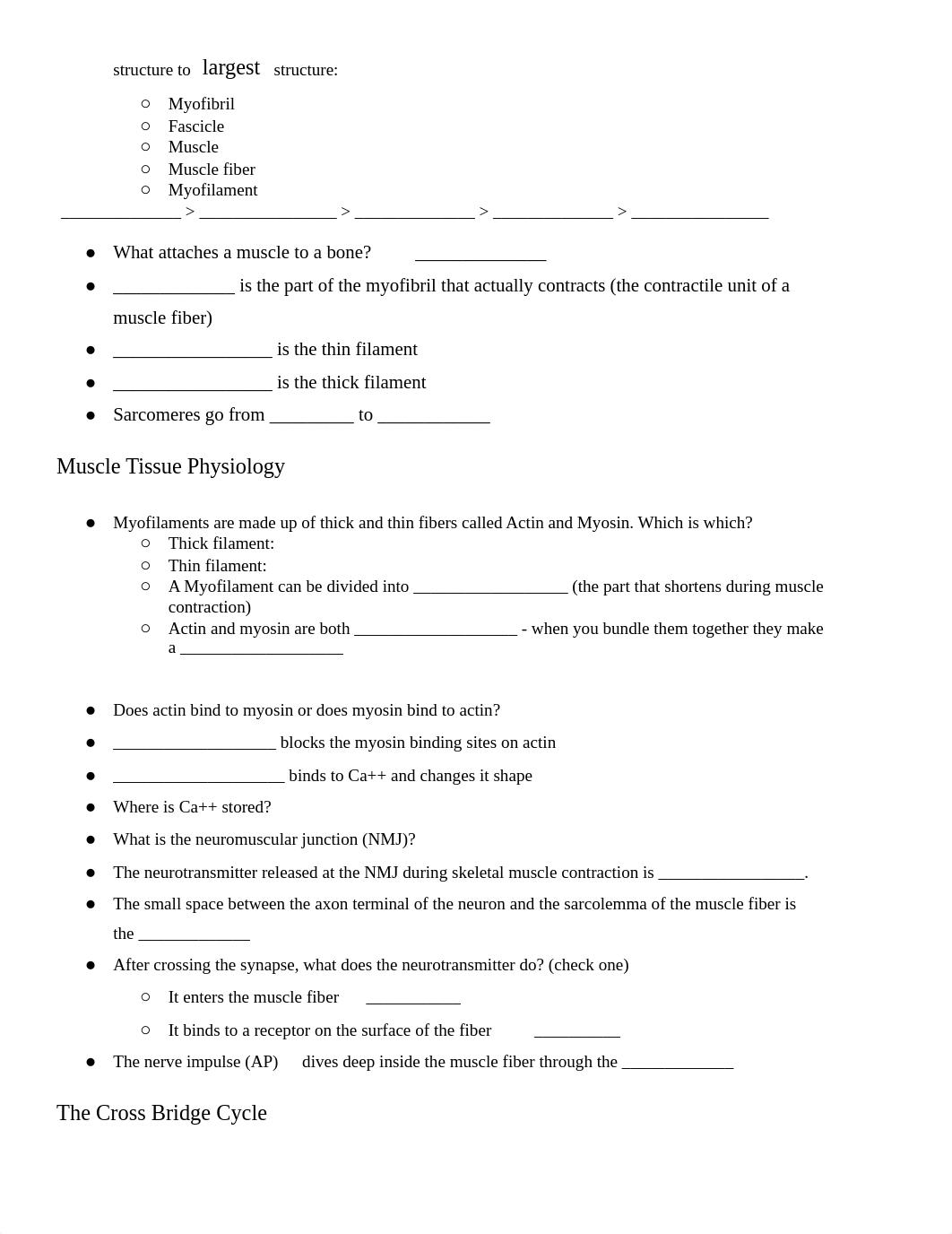 Ch. 13 AVQ --> Study Guide_ Muscular.docx_dsoaxm9oqew_page3