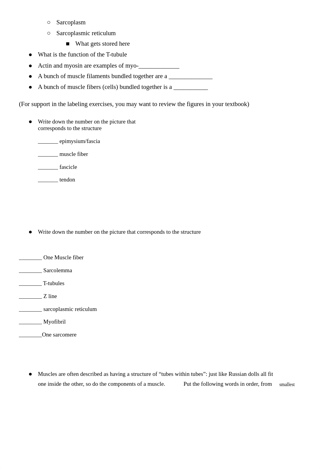 Ch. 13 AVQ --> Study Guide_ Muscular.docx_dsoaxm9oqew_page2