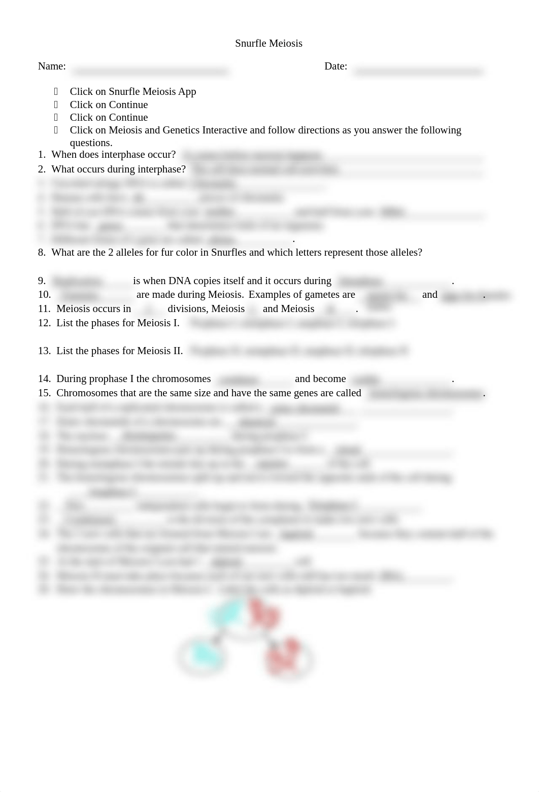 yelena rivera - Snurfle Meiosis Worksheet (1).pdf_dsod359sck2_page1