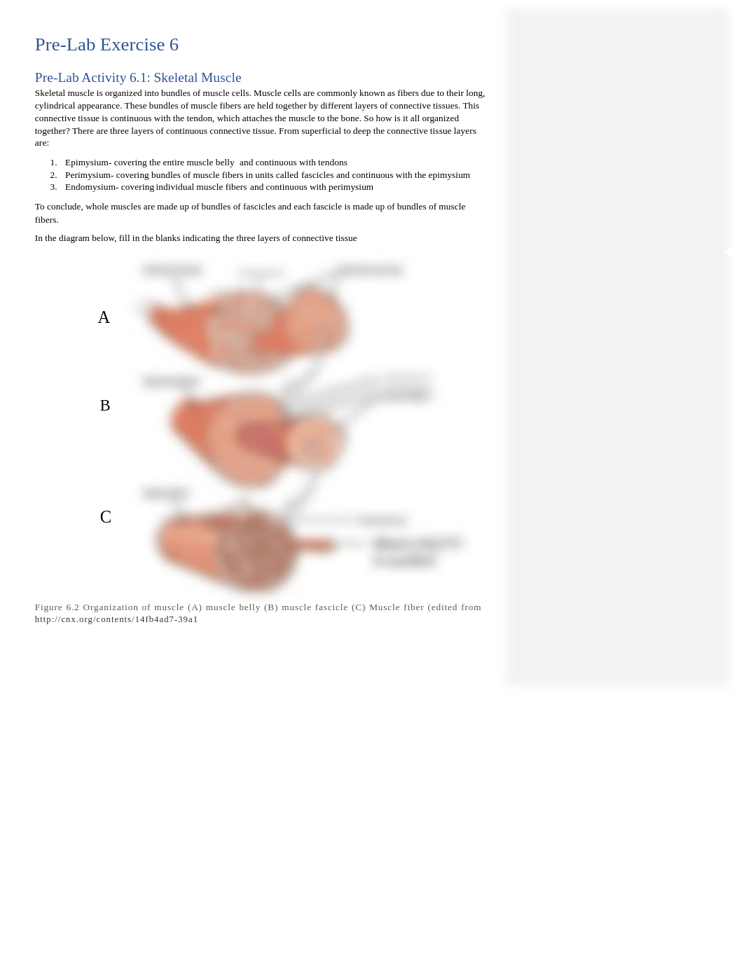 A&P1 Exercise 6 (Kingsley)-2.pdf_dsoo4rsg646_page2