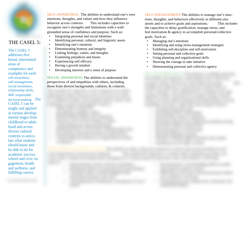 CASEL-SEL-Framework-11.2020.pdf_dsoro8nmpf9_page2