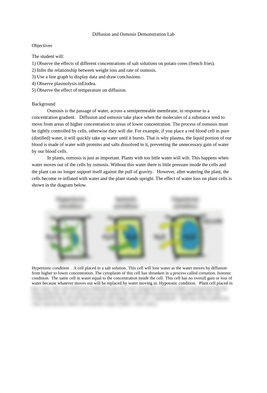 Diffusion and Osmosis Demonstration Lab.docx_dsorsq7n0z0_page1