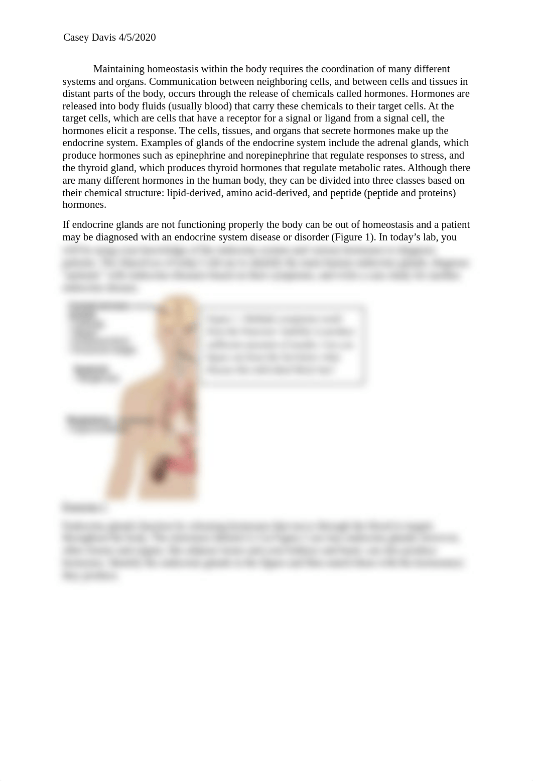 endocrine lab.docx_dsp1nfnevaj_page2