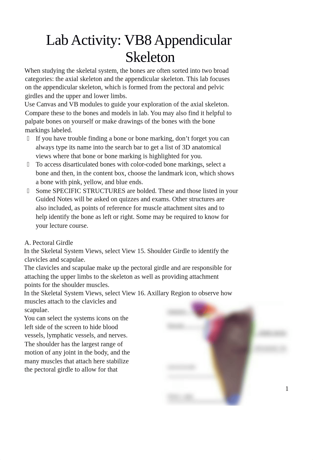 2023 ZOOL 2011.17 VB8 Lab Activity - Appendicular Skeleton Joints & Movements.docx_dspa5l58awr_page1