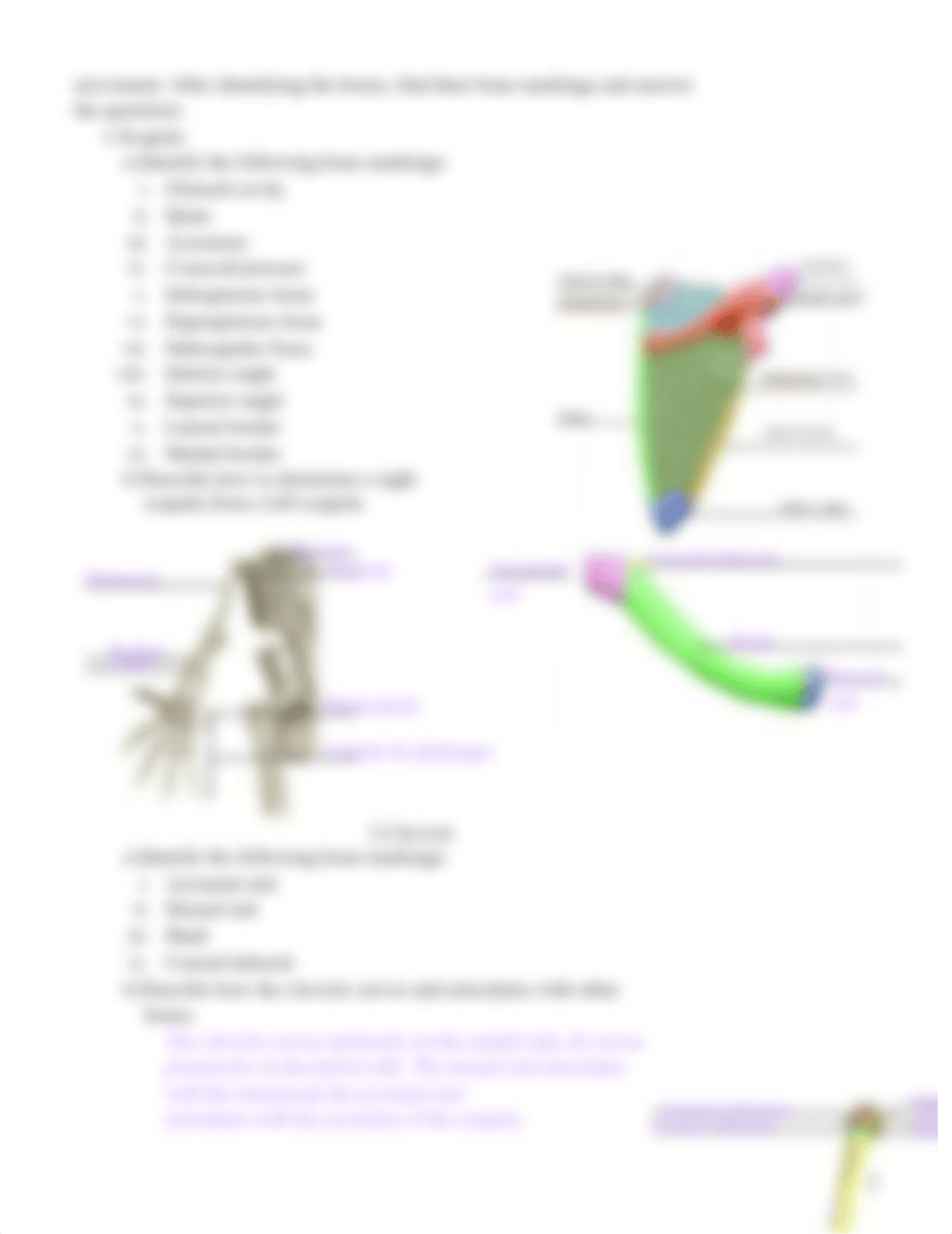 2023 ZOOL 2011.17 VB8 Lab Activity - Appendicular Skeleton Joints & Movements.docx_dspa5l58awr_page2