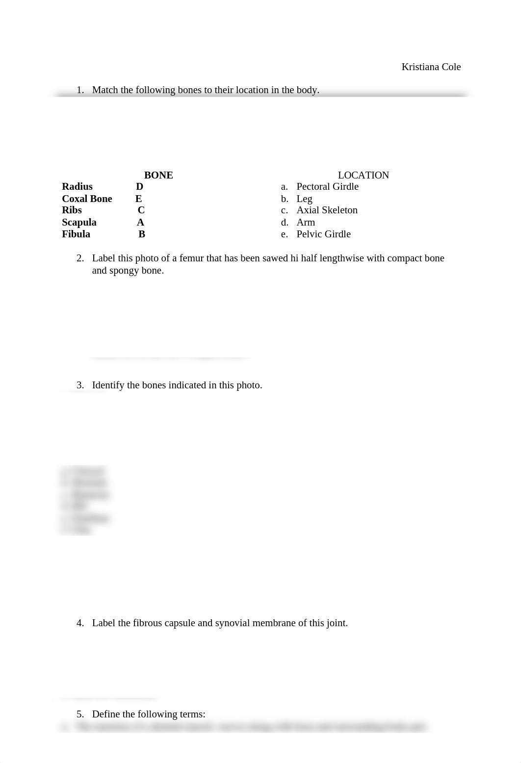 lab questions_dspccj7tewt_page1