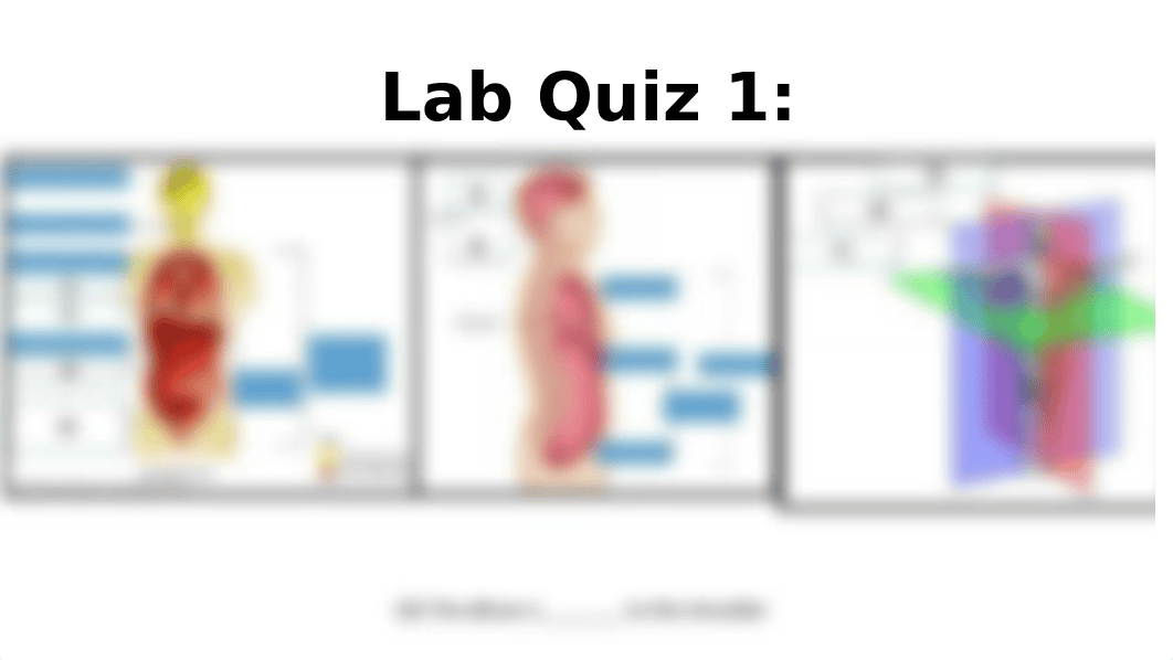 Lab Quizzes.pptx_dspfcxpsuyg_page1