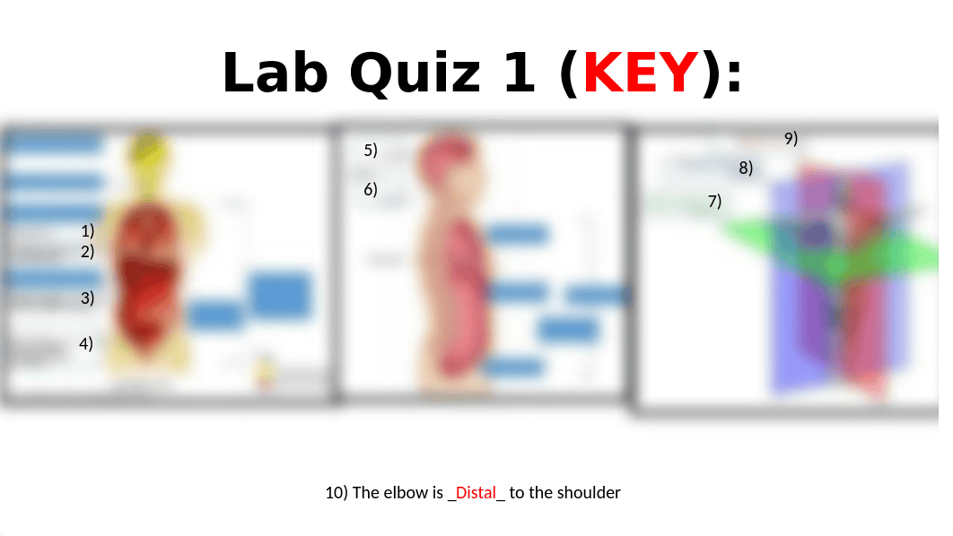 Lab Quizzes.pptx_dspfcxpsuyg_page2