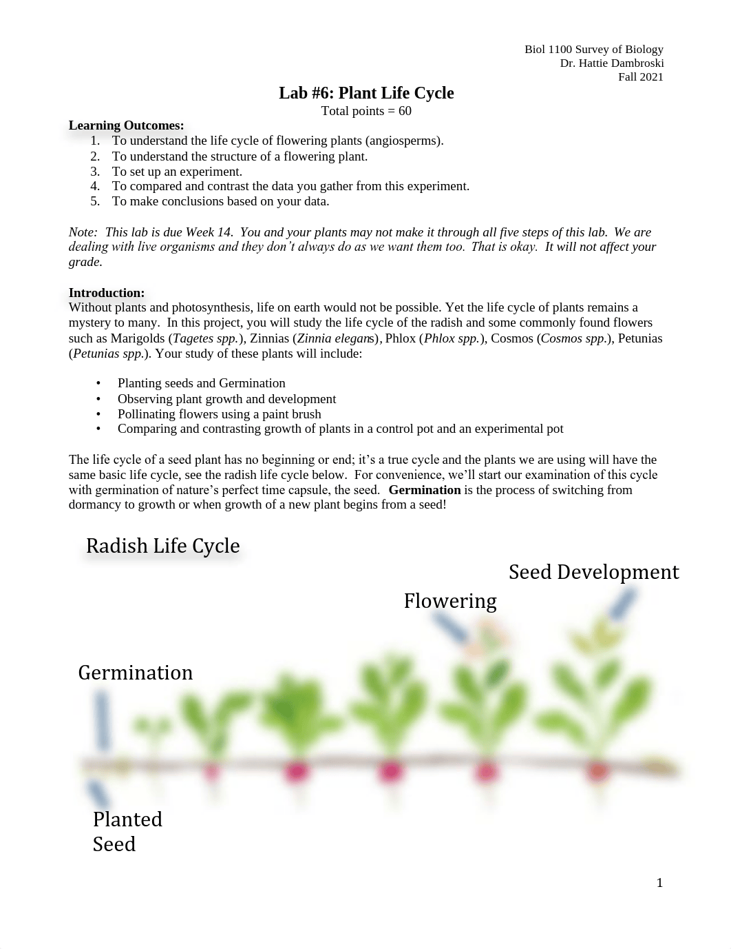 Lab 6 Plant Life Cycle 21 f21.pdf_dspjj6hsu6s_page1