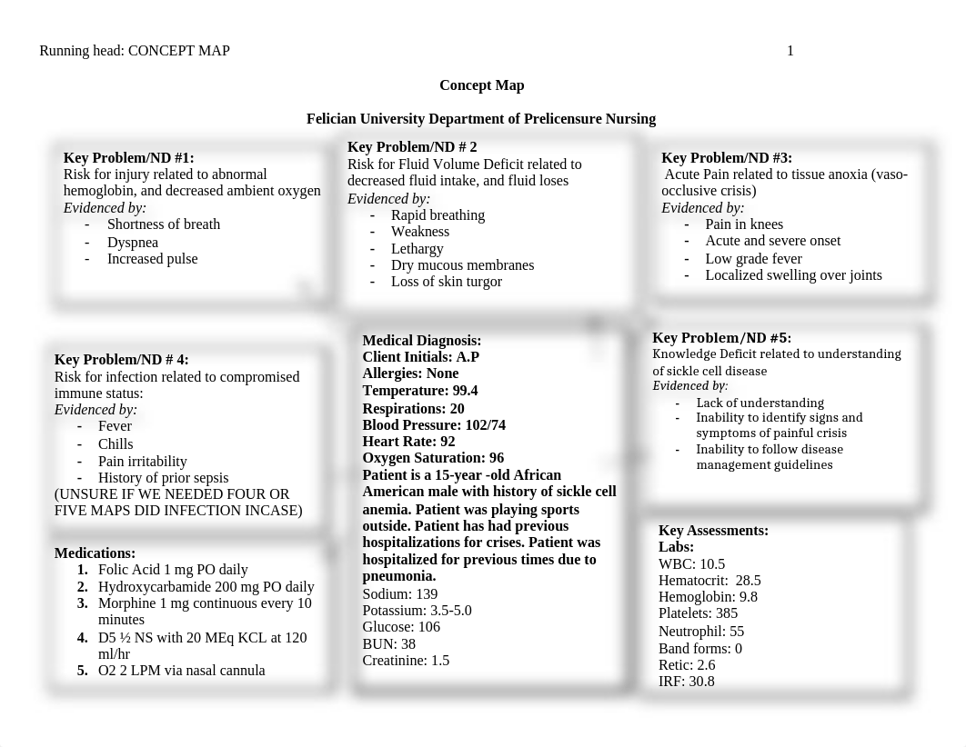 Concept Map for peds.docx_dsplqtpofi8_page1