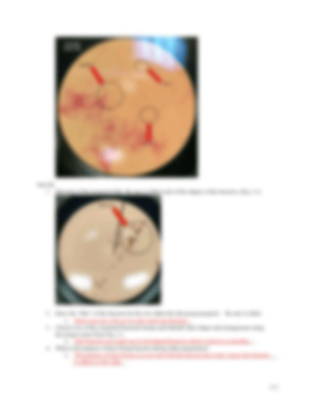 Lab 2 Answer Sheet- S.Sawyers.docx_dspo9eod4m8_page2