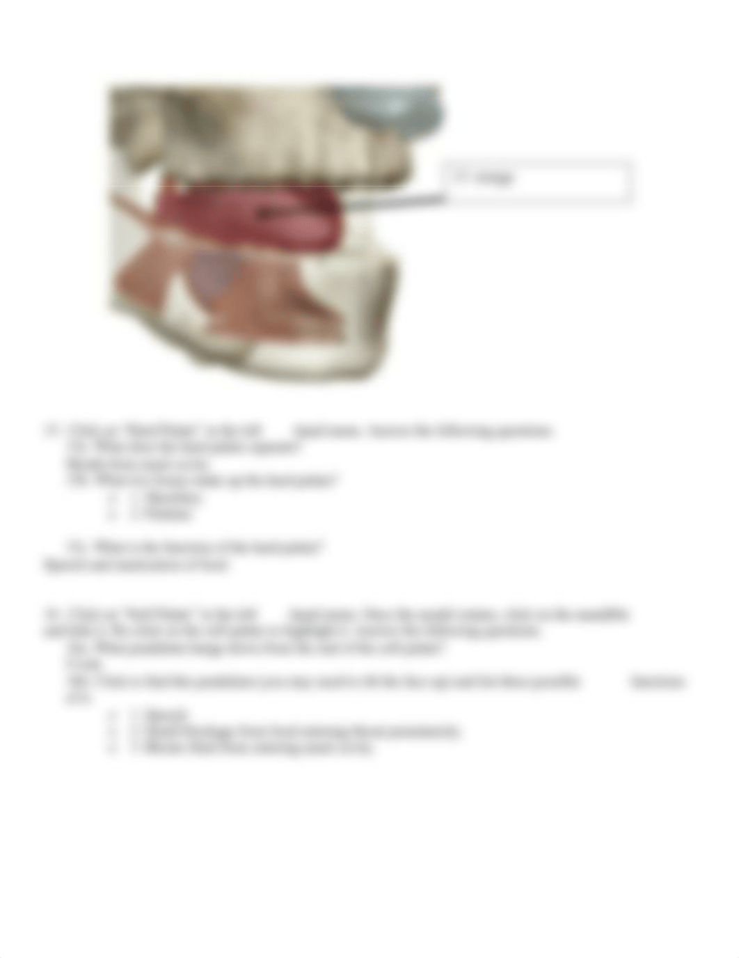 BIO 211 Lab 7 Digestive Anatomy SP2021.pdf_dspue4g4jqd_page5