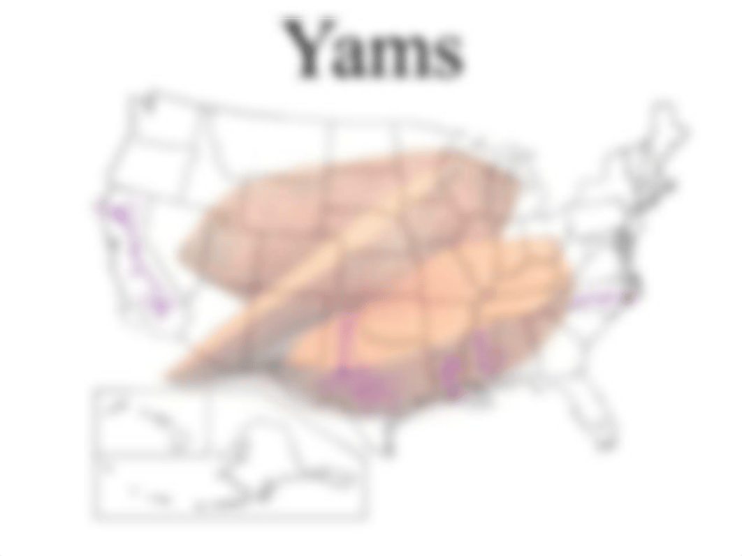 The Geography of Thanksgiving.pdf_dspx76l8ifo_page3