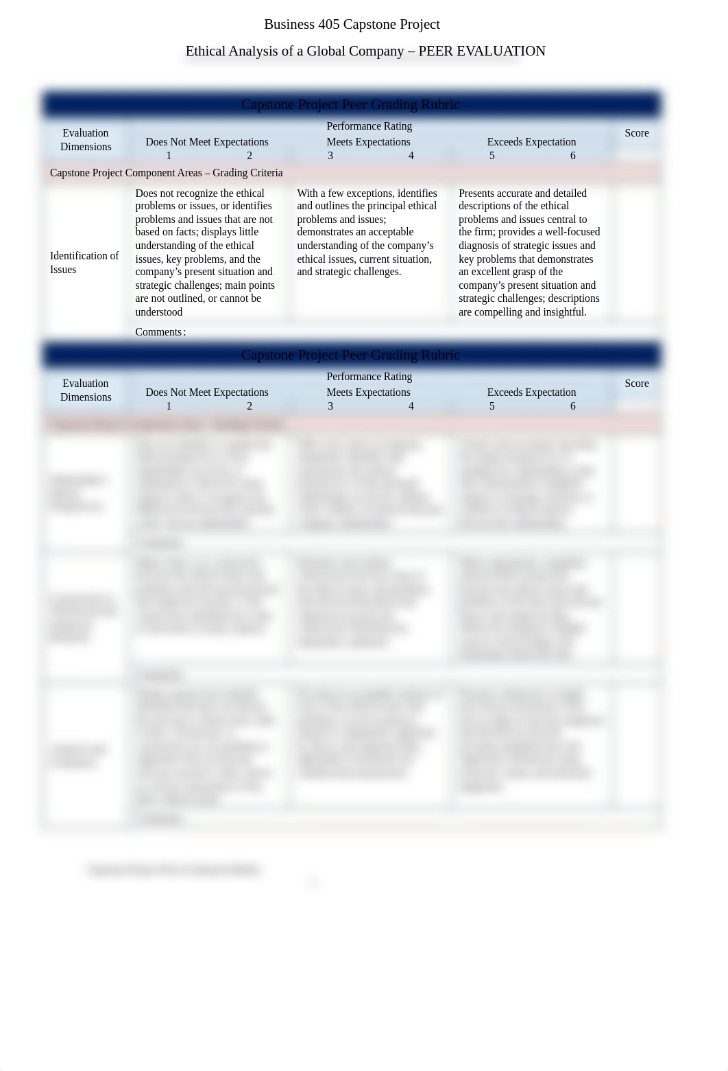 Capstone Project Peer Evaluation Rubric.docx_dspza6p3x3d_page1