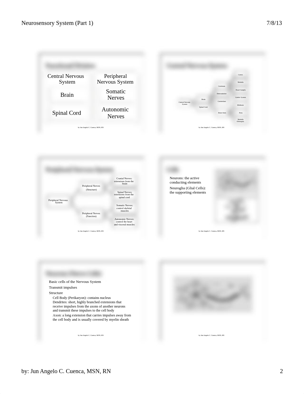 Neurosensory System Pt.1.pdf_dsq1xo453ok_page2