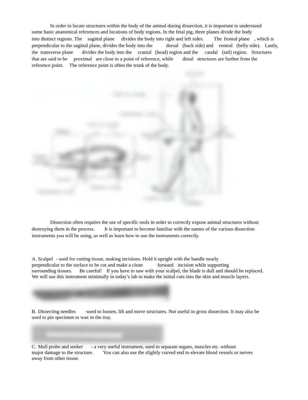 Fetal Pig Dissection 2016_dsq599i815z_page2