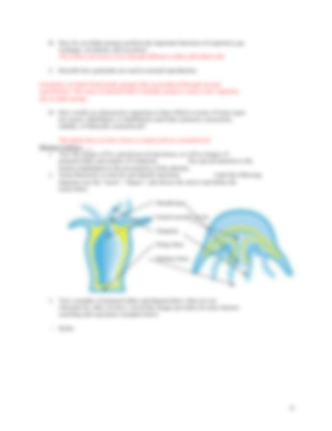 invertebrate dissections virtual lab handout.docx_dsqcv1h5i9n_page4