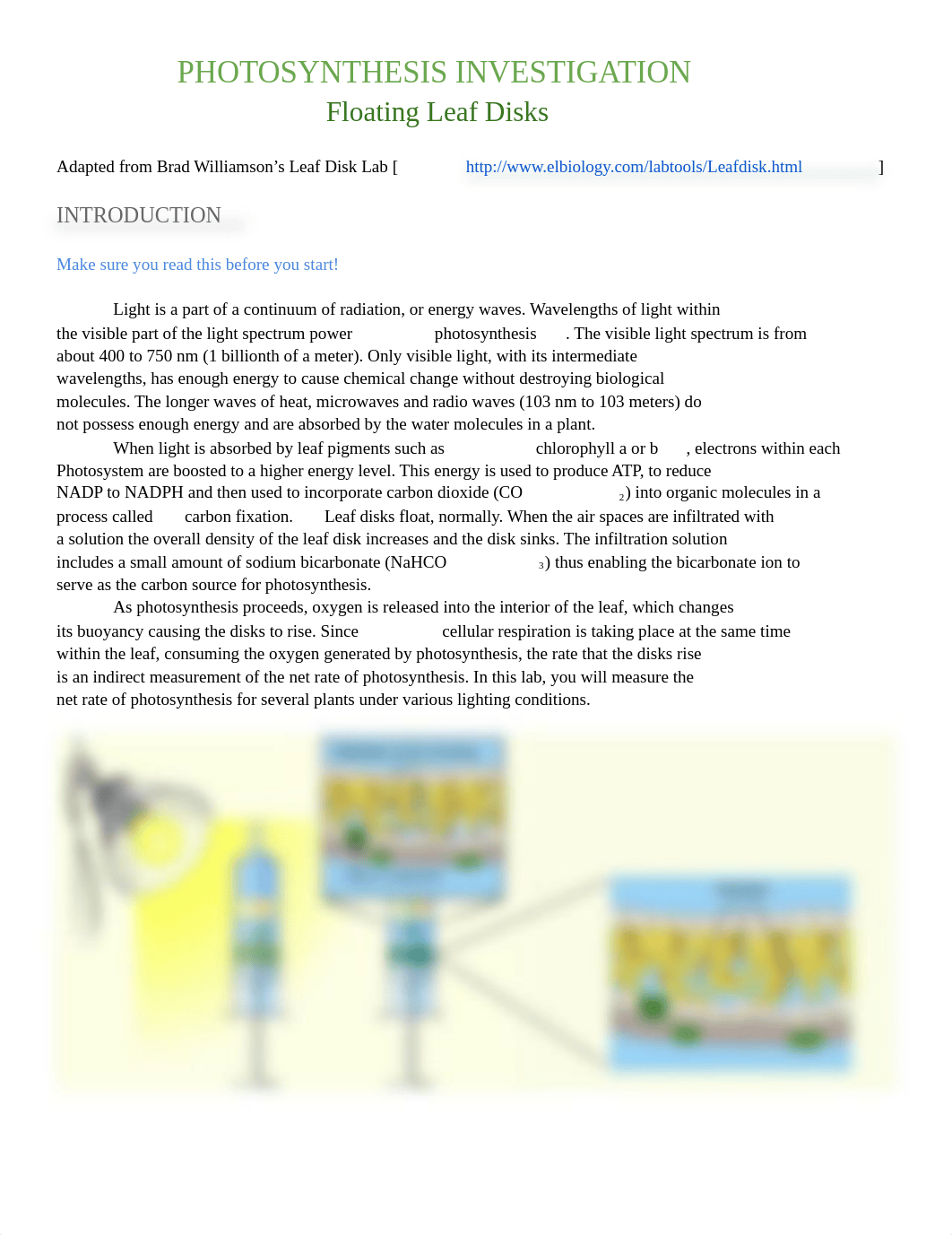 photosynthesis-investigation-floating-leaf-disks.docx_dsql9a5qw2e_page1