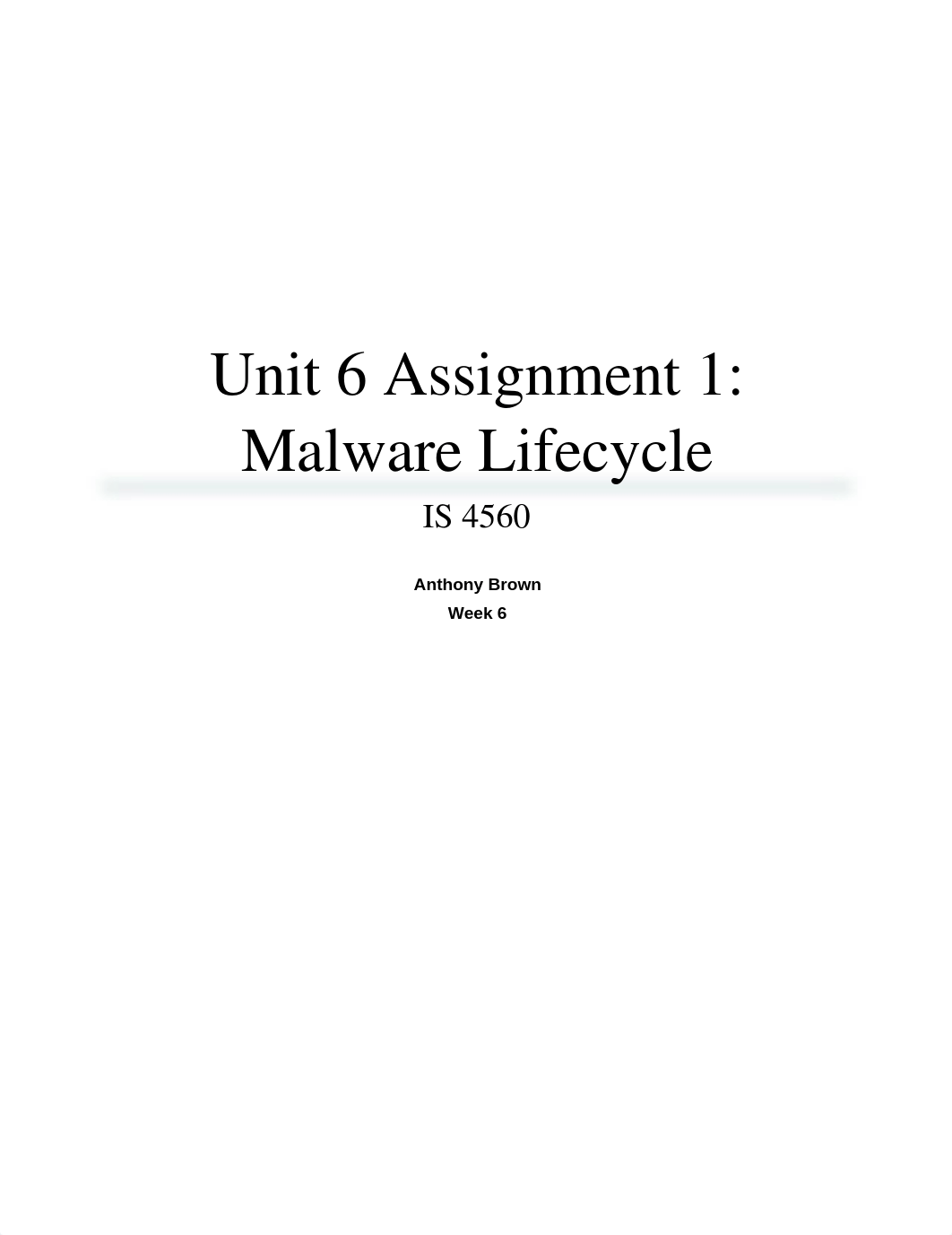 Unit 6 Assignment 1 - Malware Lifecycle_dsqpv8btz1p_page1