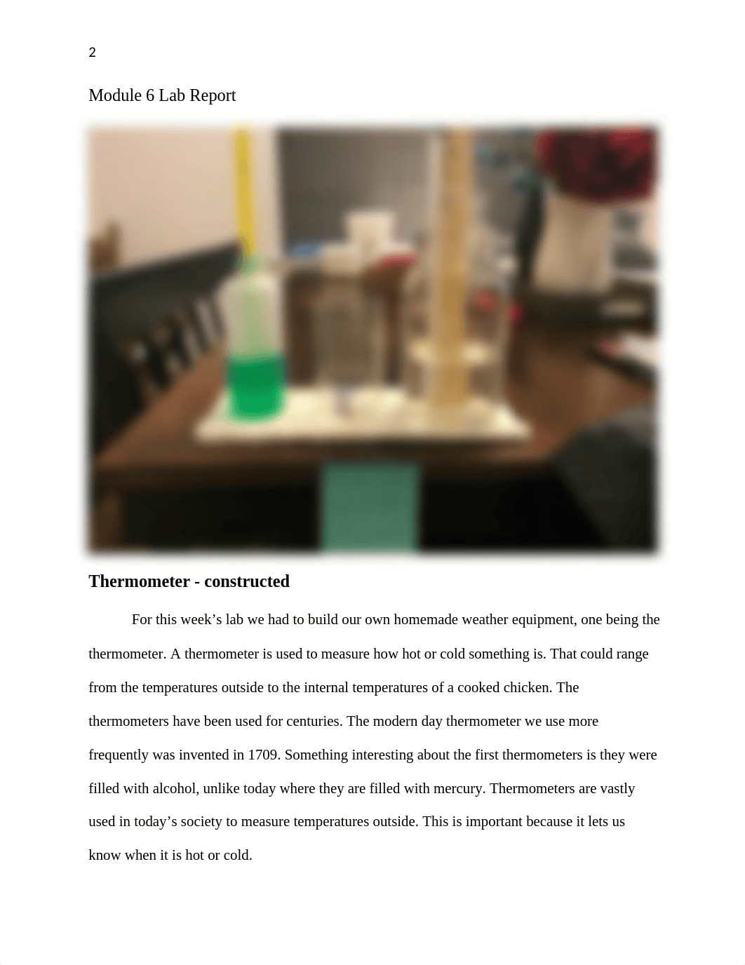 Module 6 Lab.docx_dsqvtdm3zqv_page2