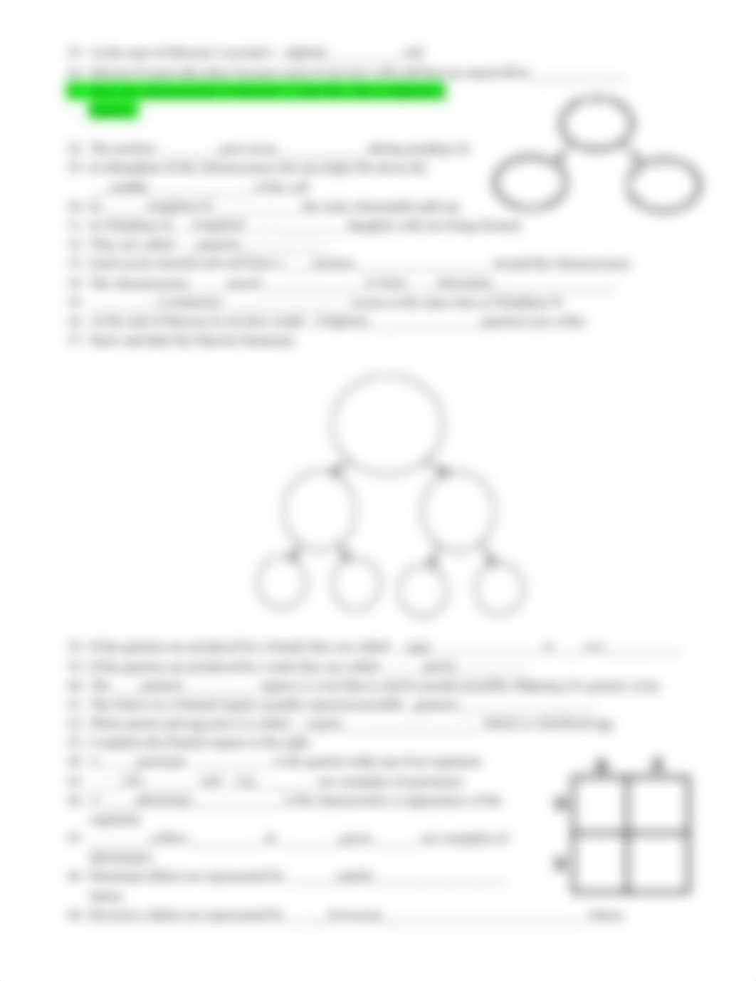 Snurfle_Meiosis_dsr58fr8zcn_page2