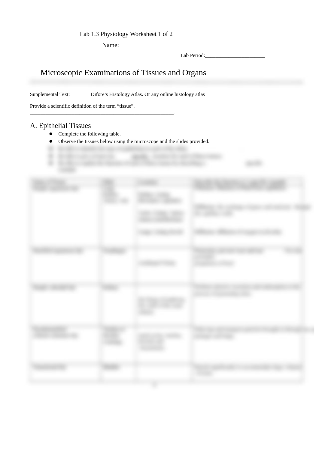 Lab 1.3 Histology and Mitosis Steven Hsu II.docx_dsr9g9tstpm_page4