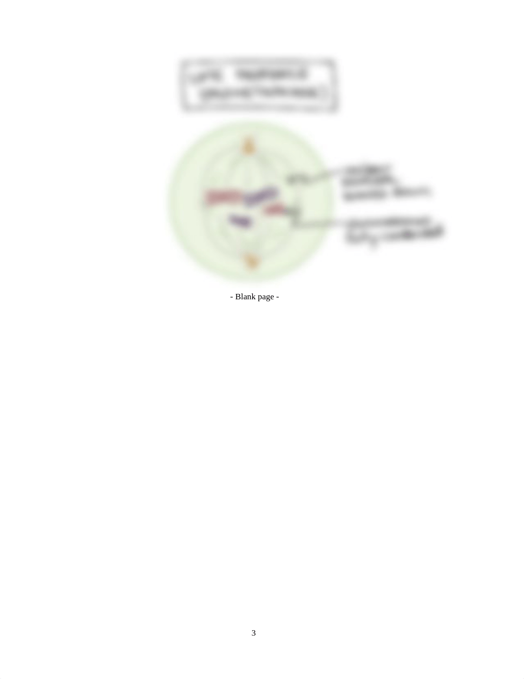 Lab 1.3 Histology and Mitosis Steven Hsu II.docx_dsr9g9tstpm_page3