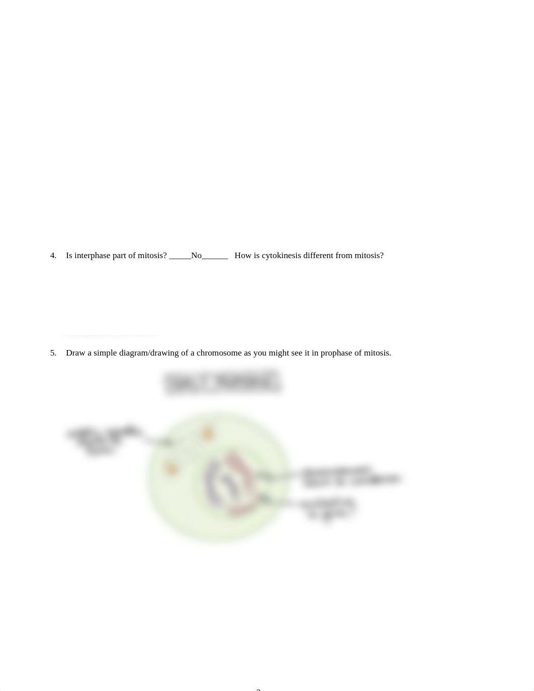 Lab 1.3 Histology and Mitosis Steven Hsu II.docx_dsr9g9tstpm_page2