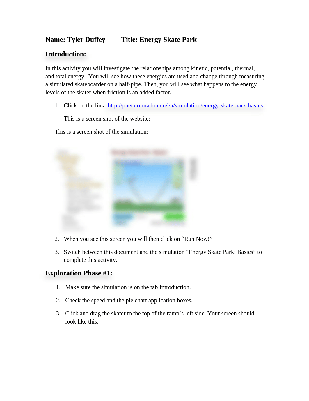 Energy Skate Park Activity-Duffey.docx_dsrj4qqx5dw_page1