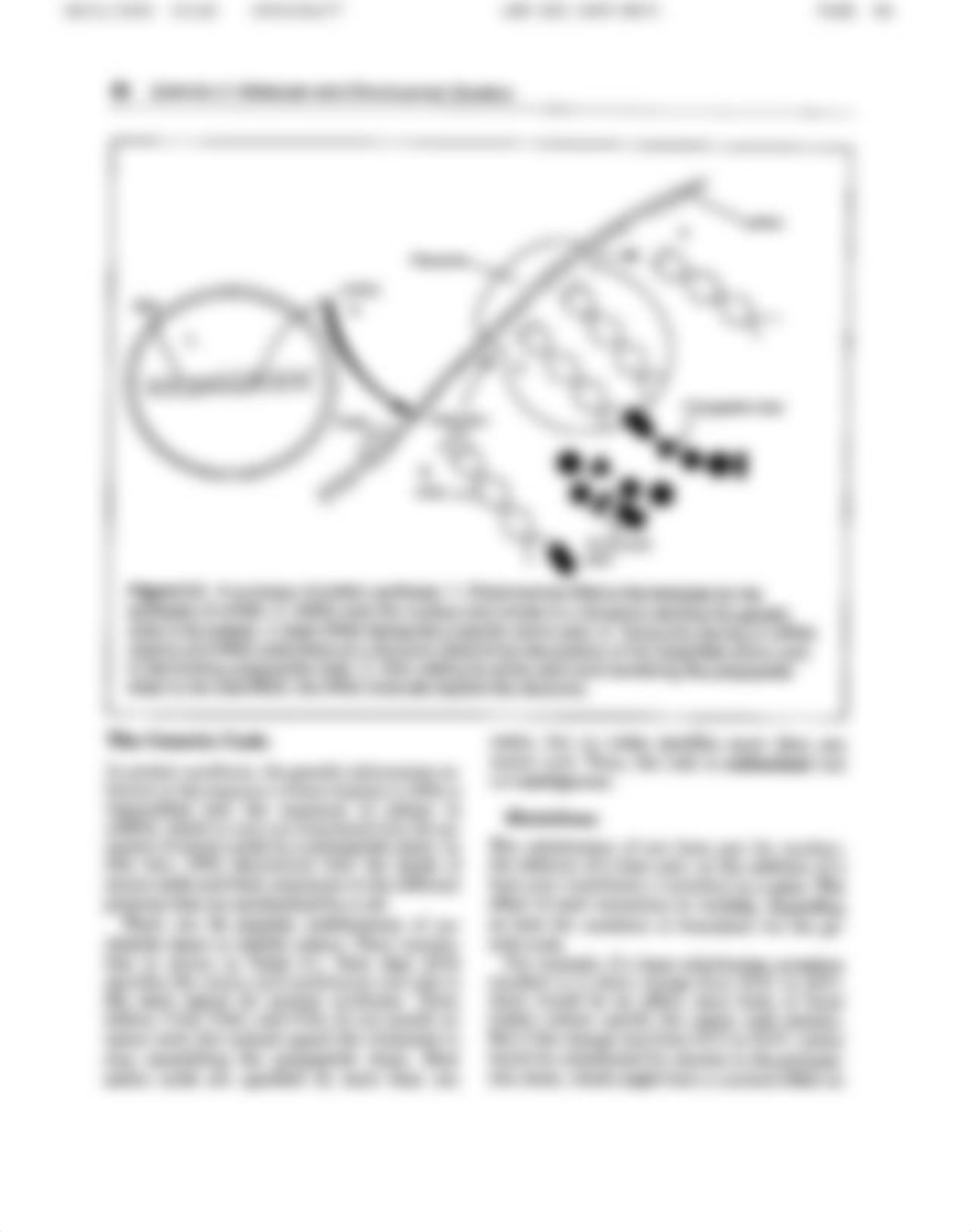 Lab 7 Molecular & Chromosomal Genetics.pdf_dsrqblzrmd8_page4