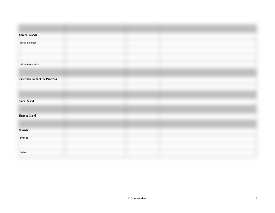 7 Endocrine System Chart.xlsx_dsru69d8v86_page2