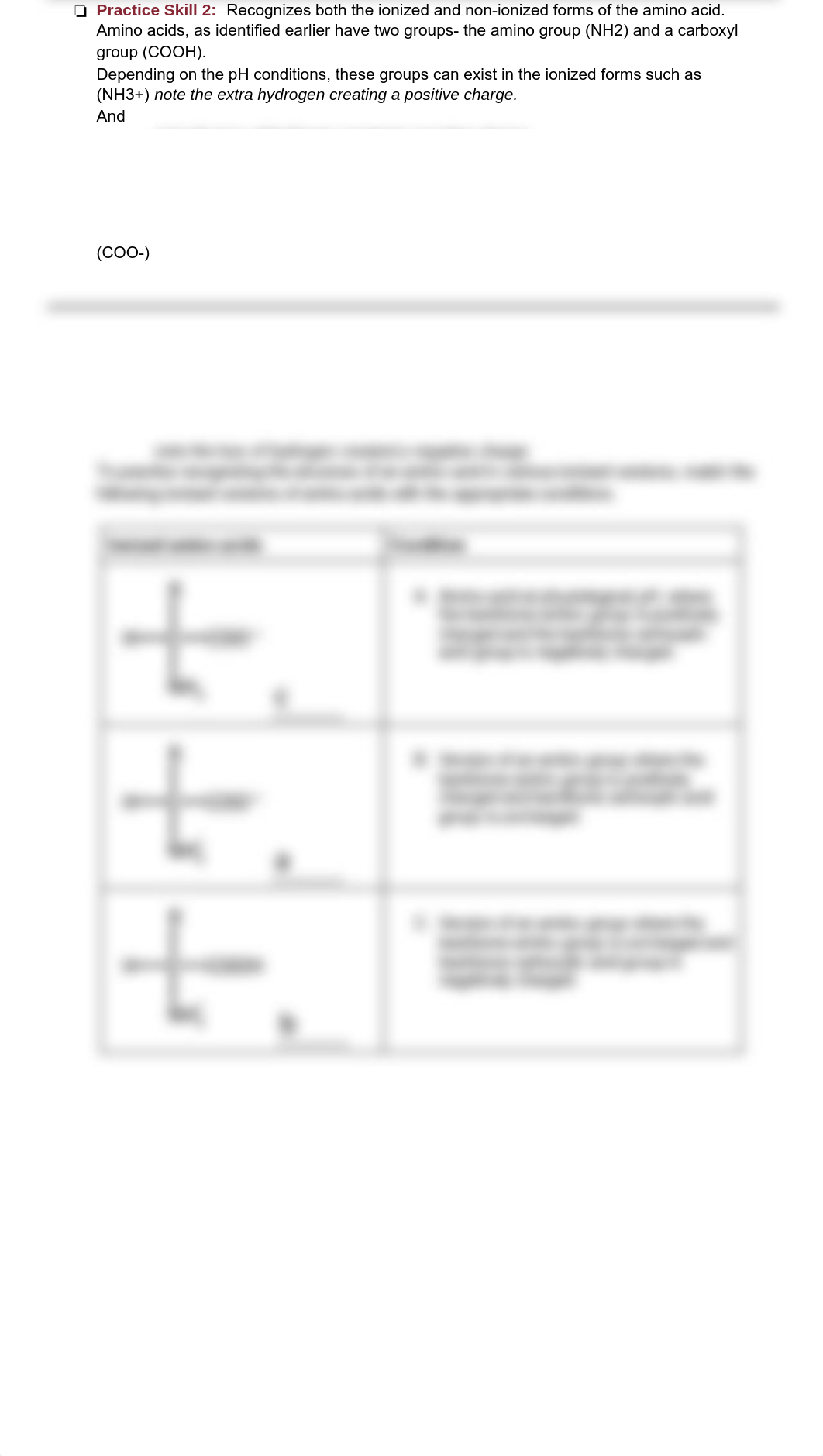 21 Amino Acids The Building Blocks of Proteins Study Guide with answers.pdf_dsrv79mcr42_page2